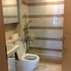 Shelford Suites (D11), Condominium #372815291